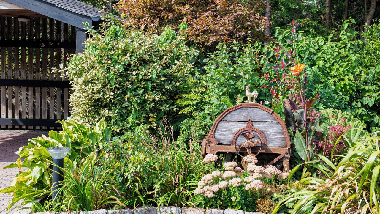 Photo of Outdoor in St. Columb Major