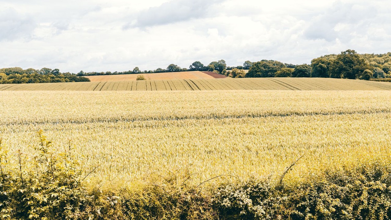 Photo of Others in Bridgnorth
