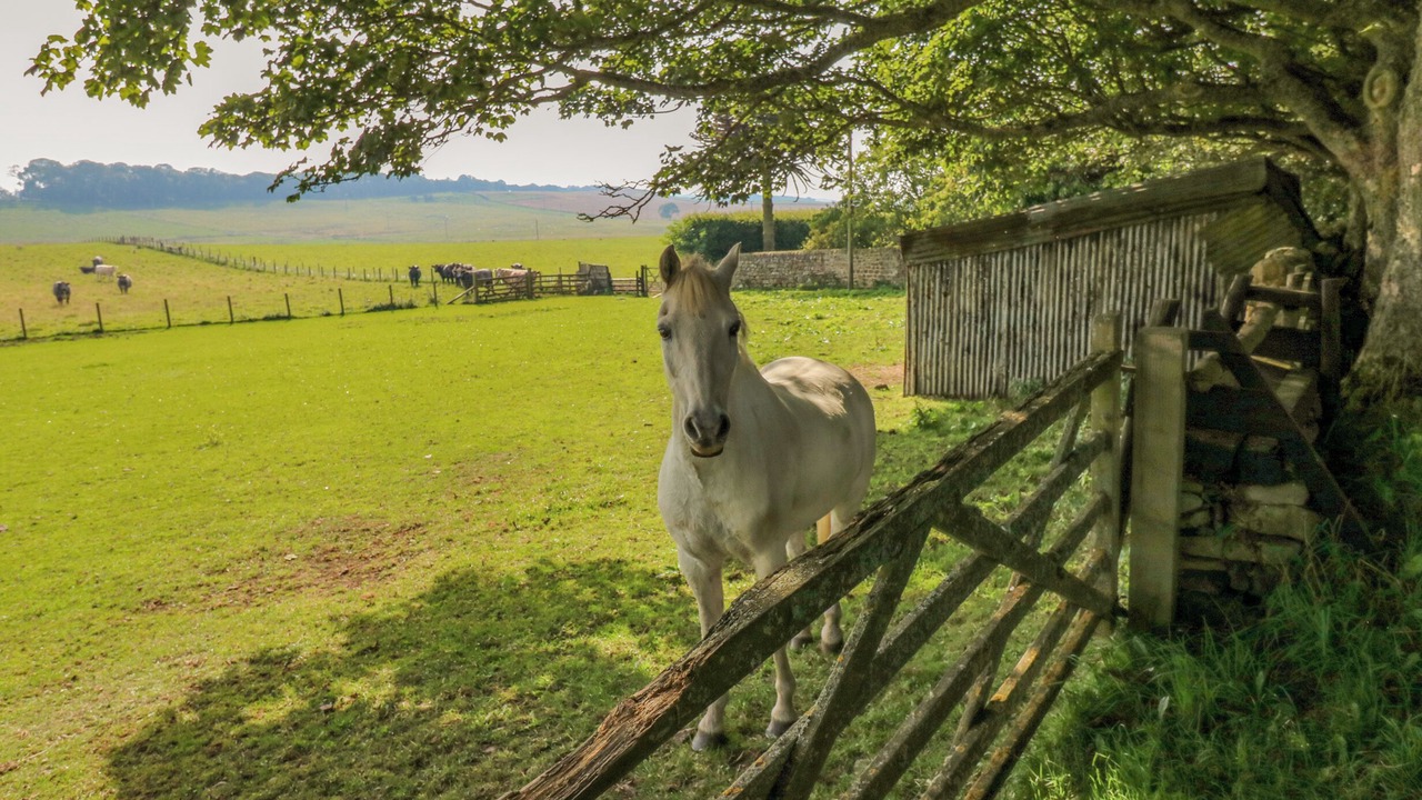 Photo of Others in Hallington