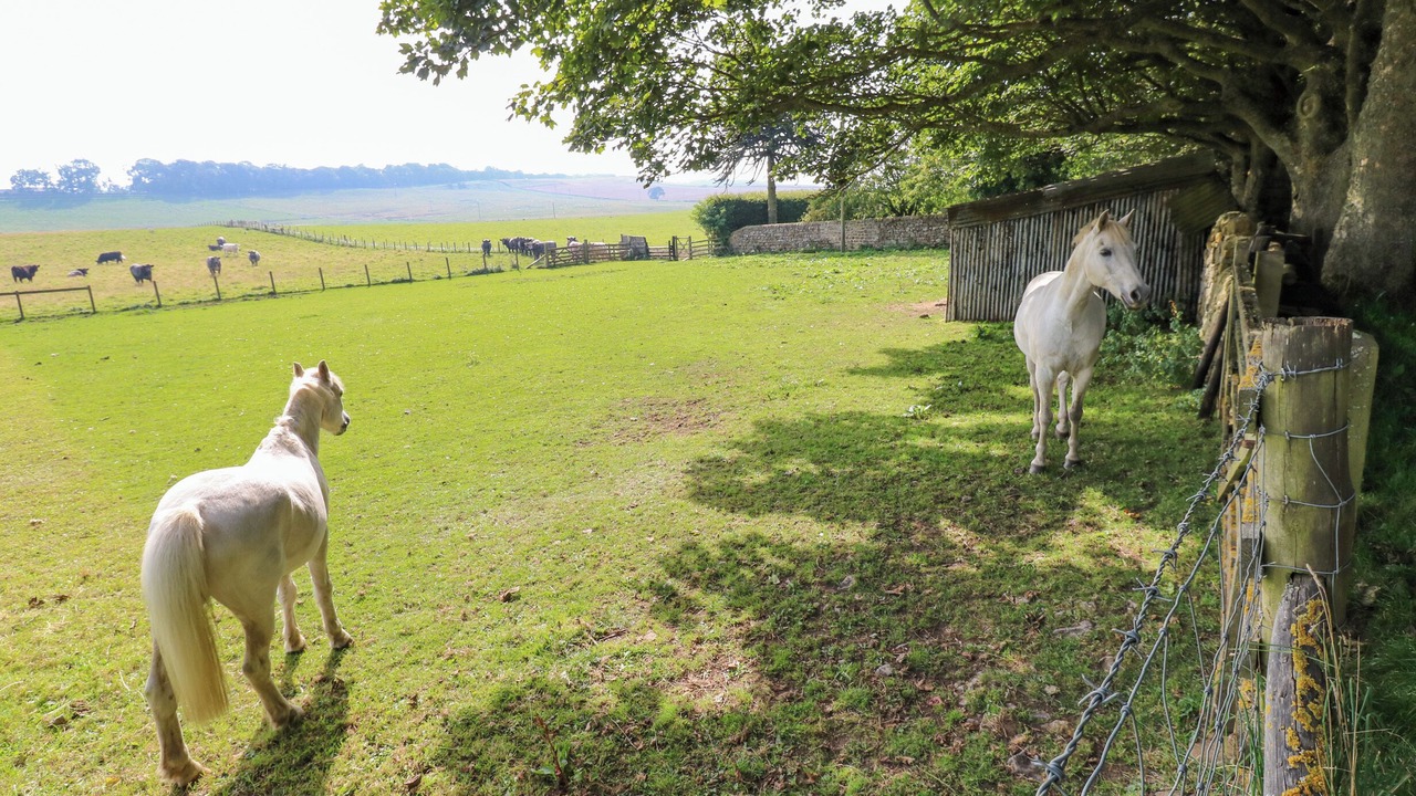 Photo of Others in Hallington