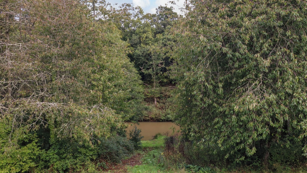 Photo of Others in Newton Saint Cyres