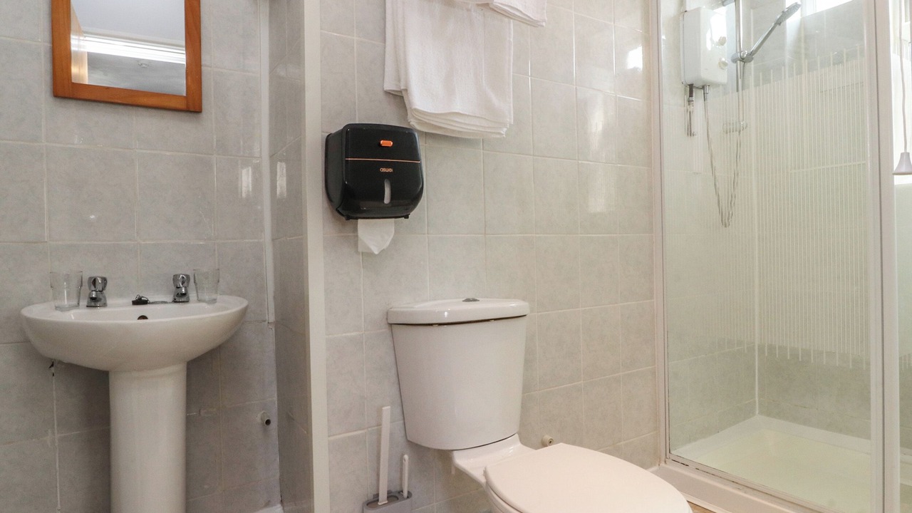 Photo of Others in South Shore