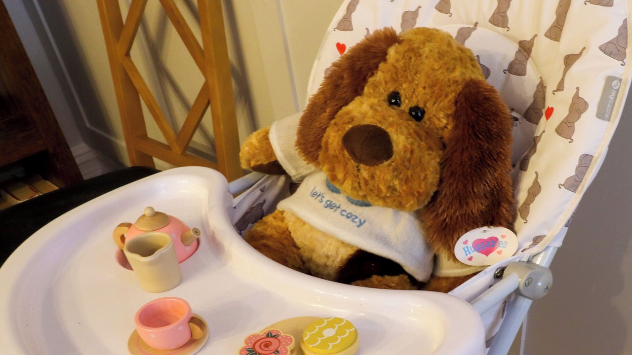 Photo of Others in South Shore