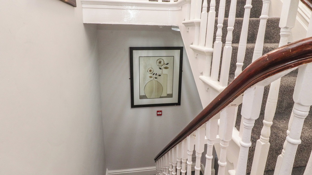 Photo of Others in South Shore