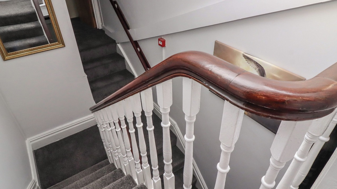 Photo of Others in South Shore