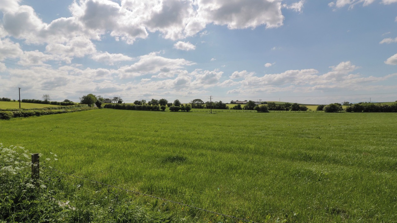 Photo of Others in Mauchline