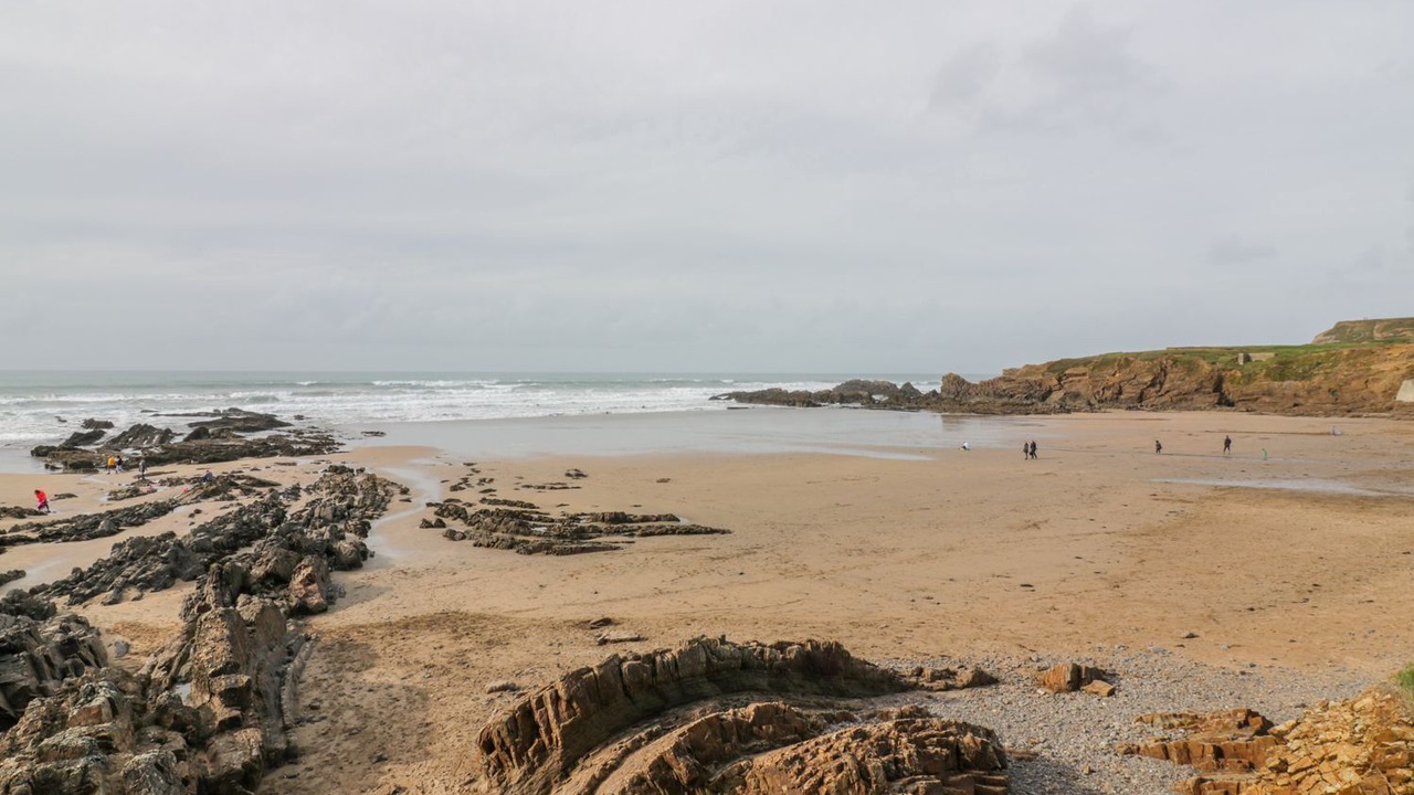 Photo of Others in Bude