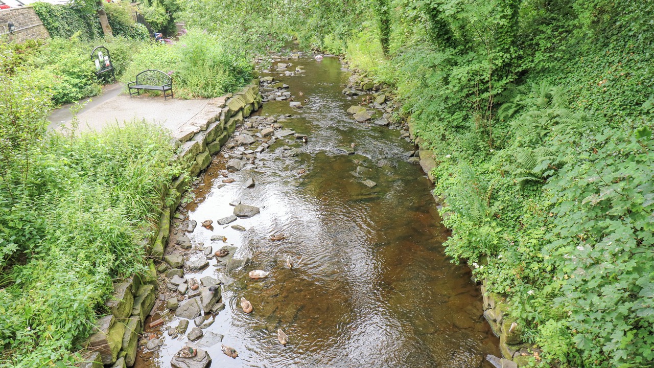 Photo of Others in Honley