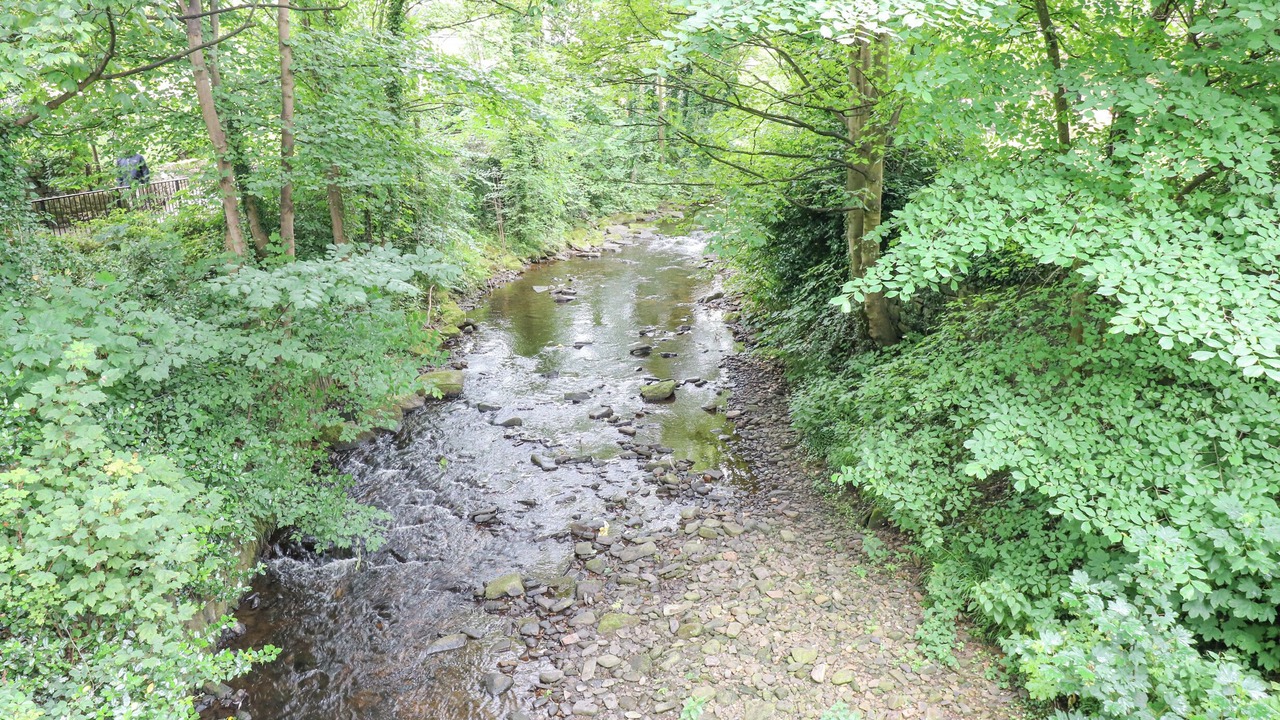 Photo of Others in Honley