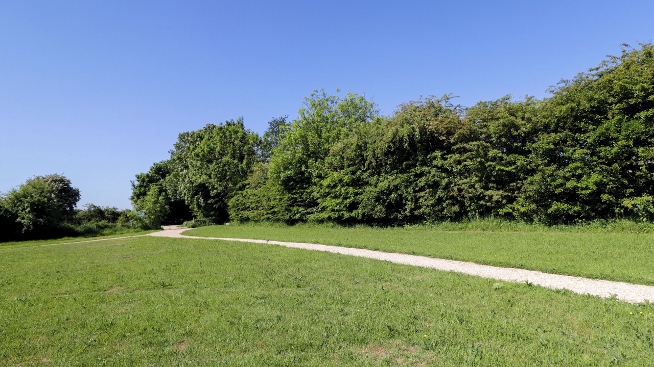 Photo of Others in South Leigh