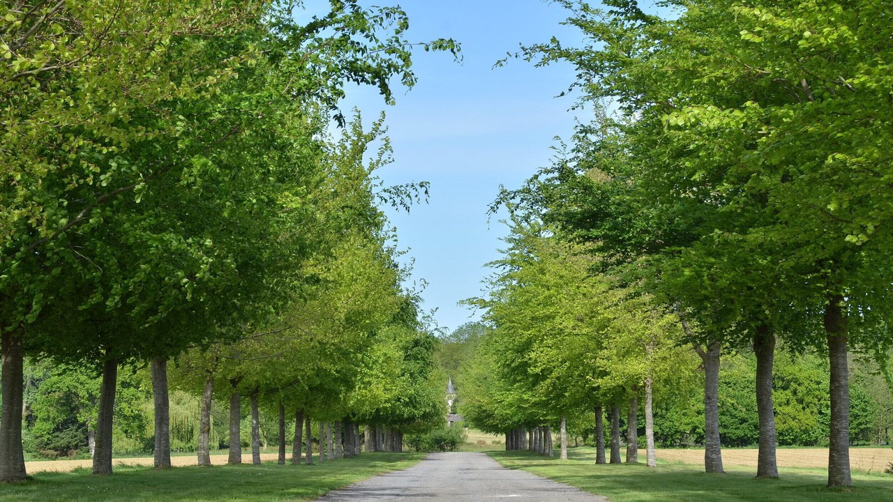 Photo of Outdoor in Pleugueneuc