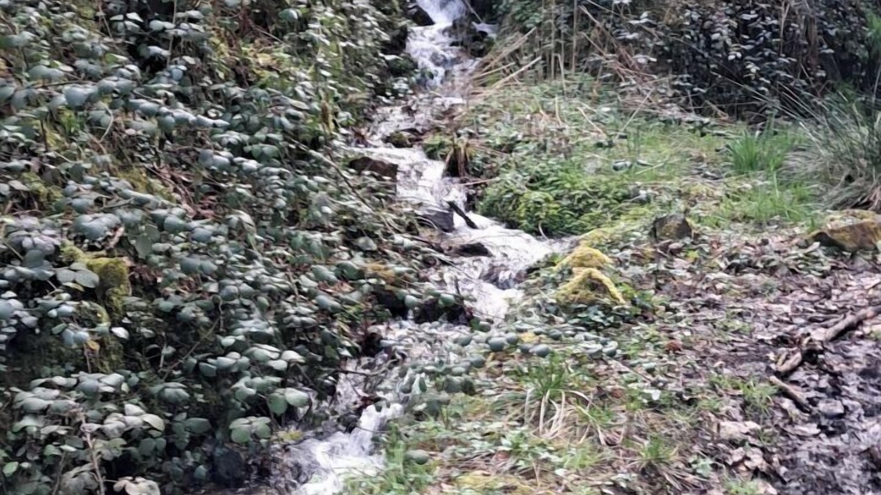 Photo of Outdoor in Prades