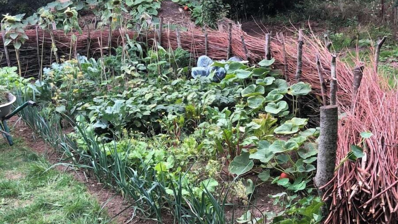 Photo of Outdoor in Saint-Honore