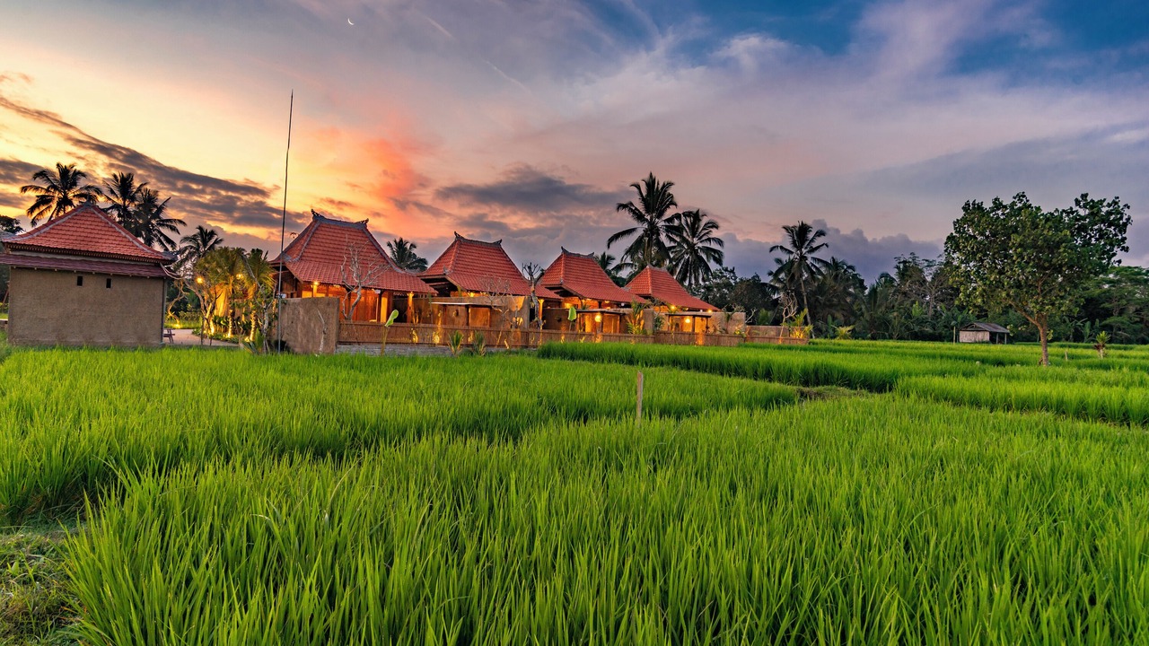 Photo of Outdoor in Sebatu