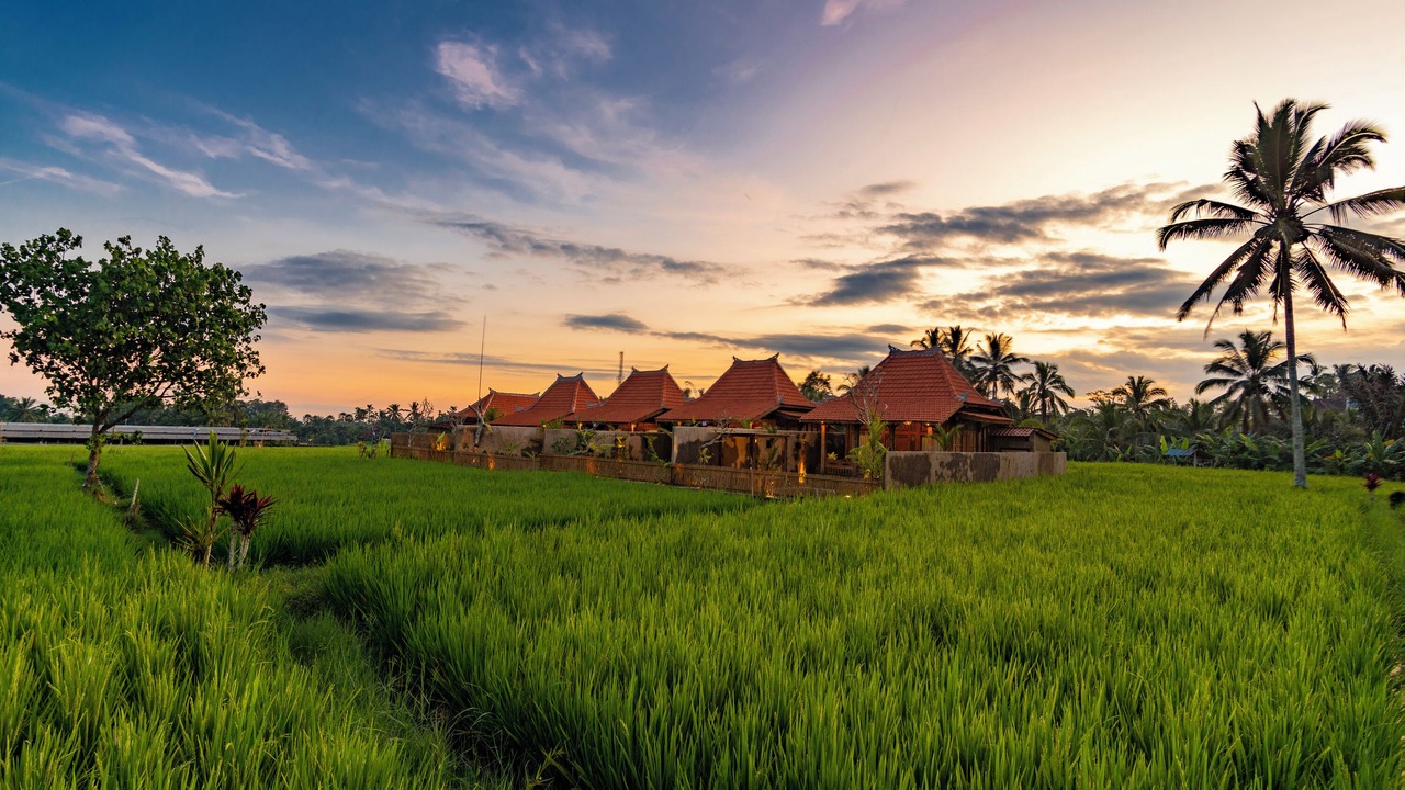Photo of Outdoor in Sebatu
