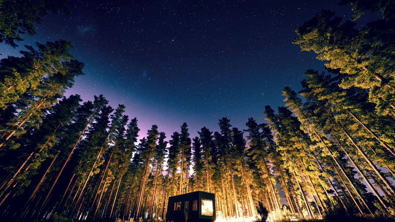 Photo of Outdoor in Kuitpo