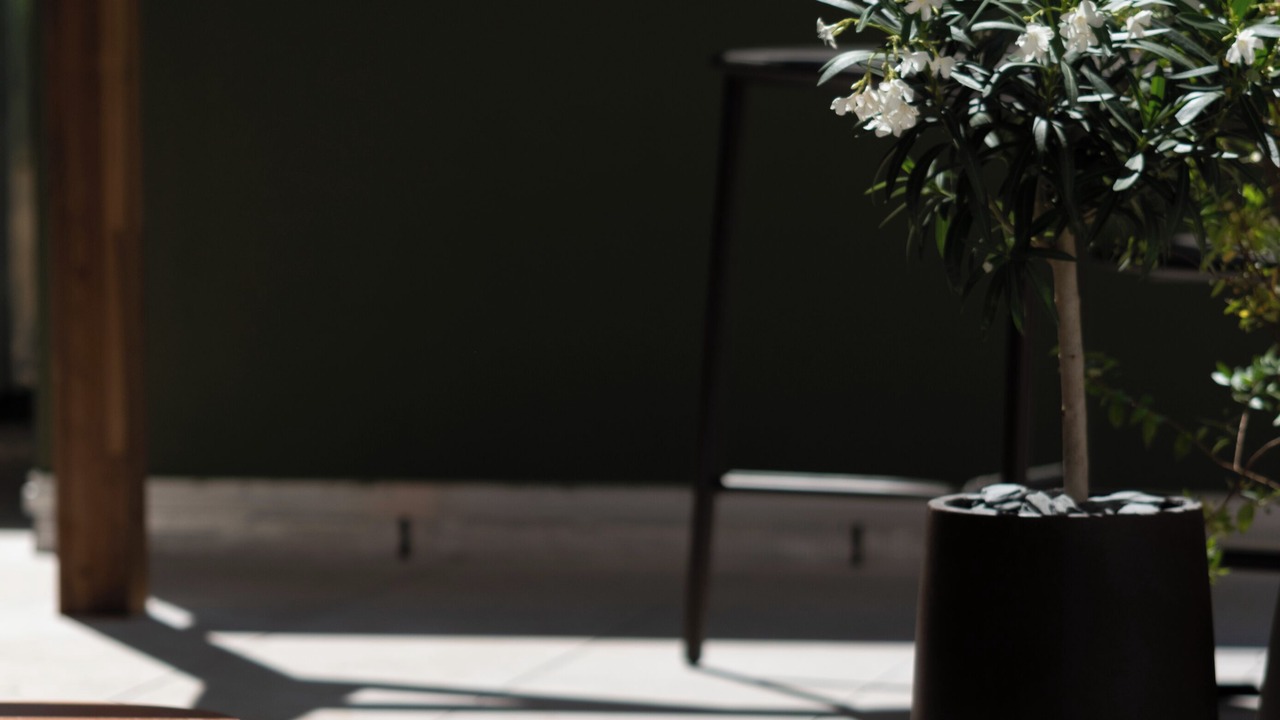 Photo of Outdoor in 8th Arrondissement