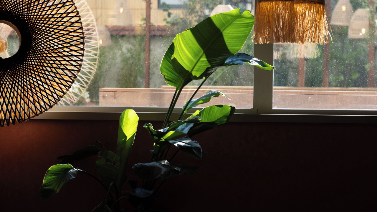 Photo of Others in 8th Arrondissement