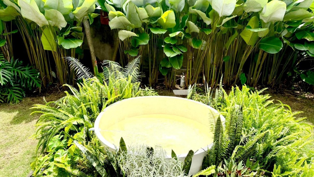 Photo of Others in Songan