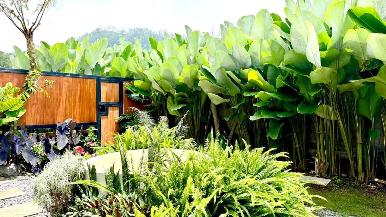 Photo of Others in Songan