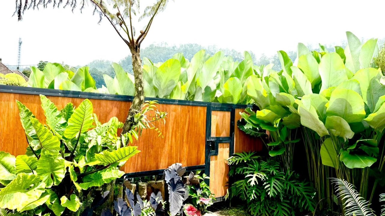 Photo of Others in Songan