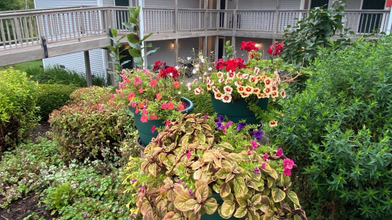 Photo of Outdoor in Lanesboro