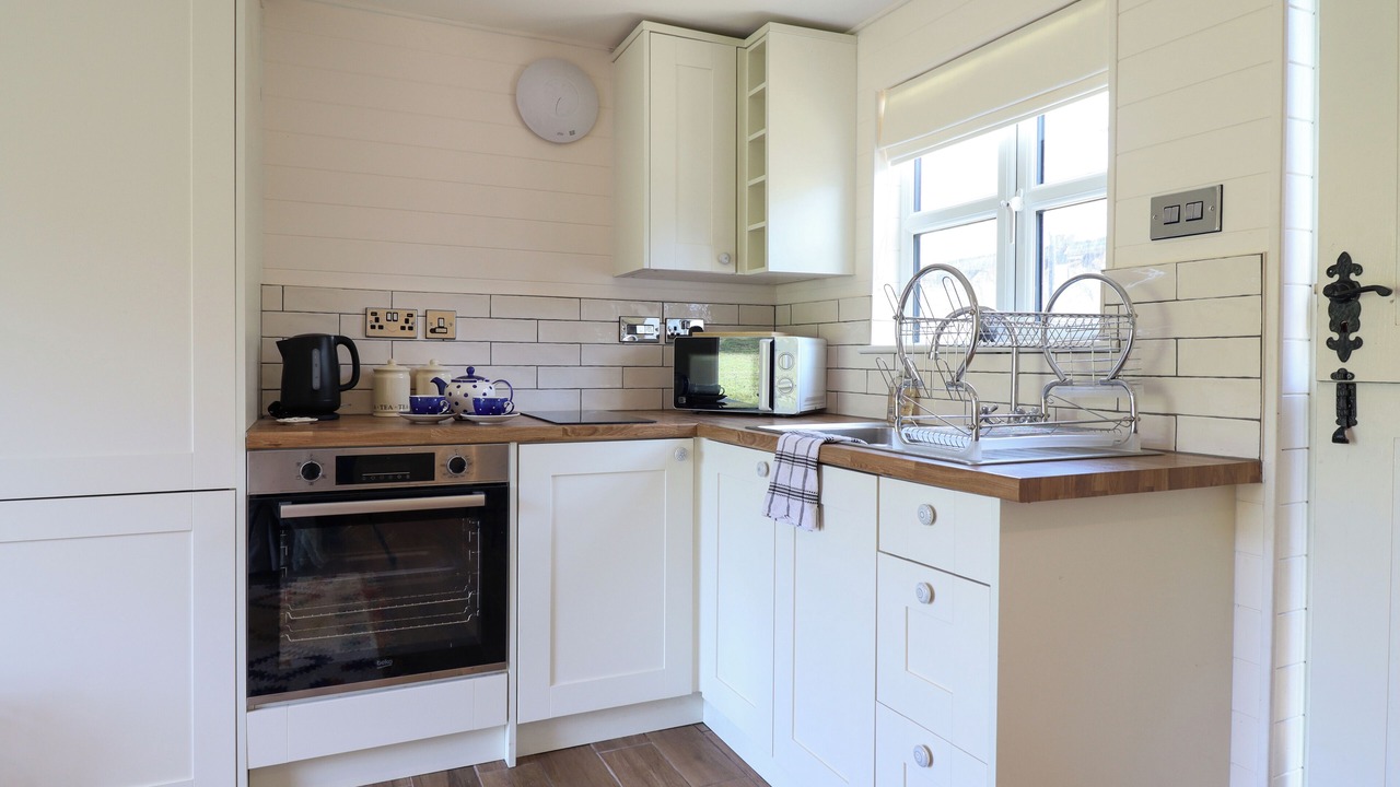 Photo of Others in Mold