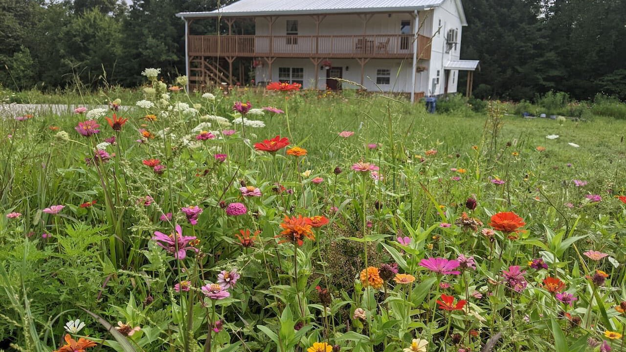 Photo of Outdoor in Whitley City