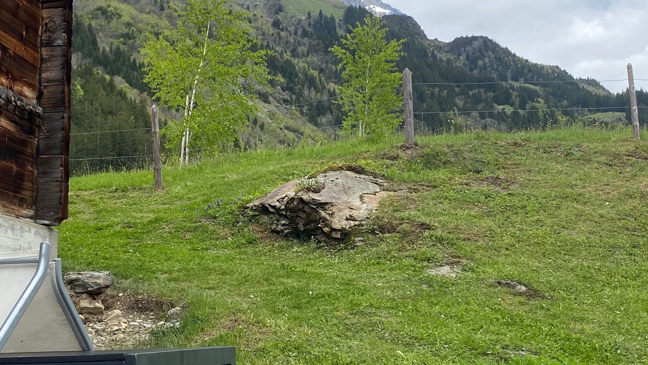 Photo of Outdoor in Gadmen
