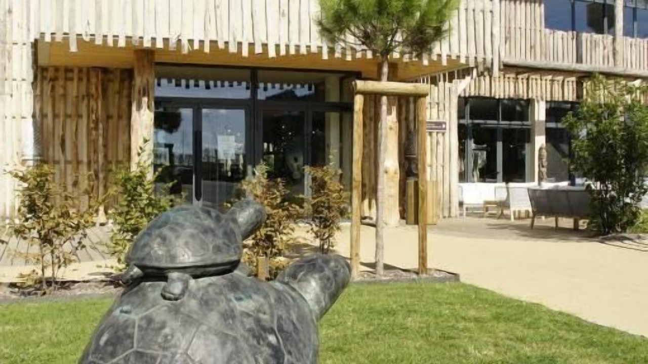 Photo of Outdoor in Saint-Aignan