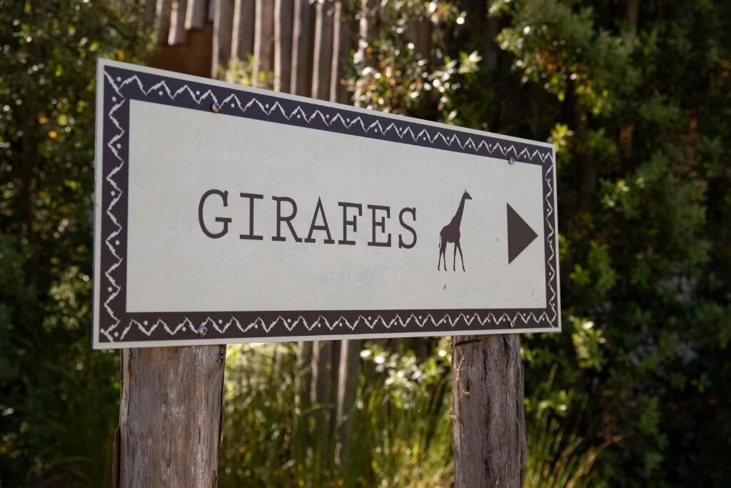 Photo of Outdoor in Saint-Aignan