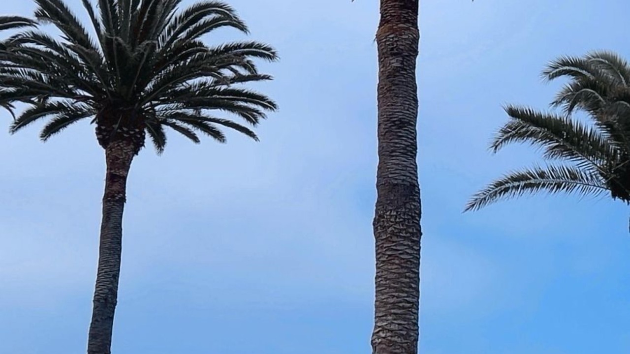 Photo of Others in La Fonda