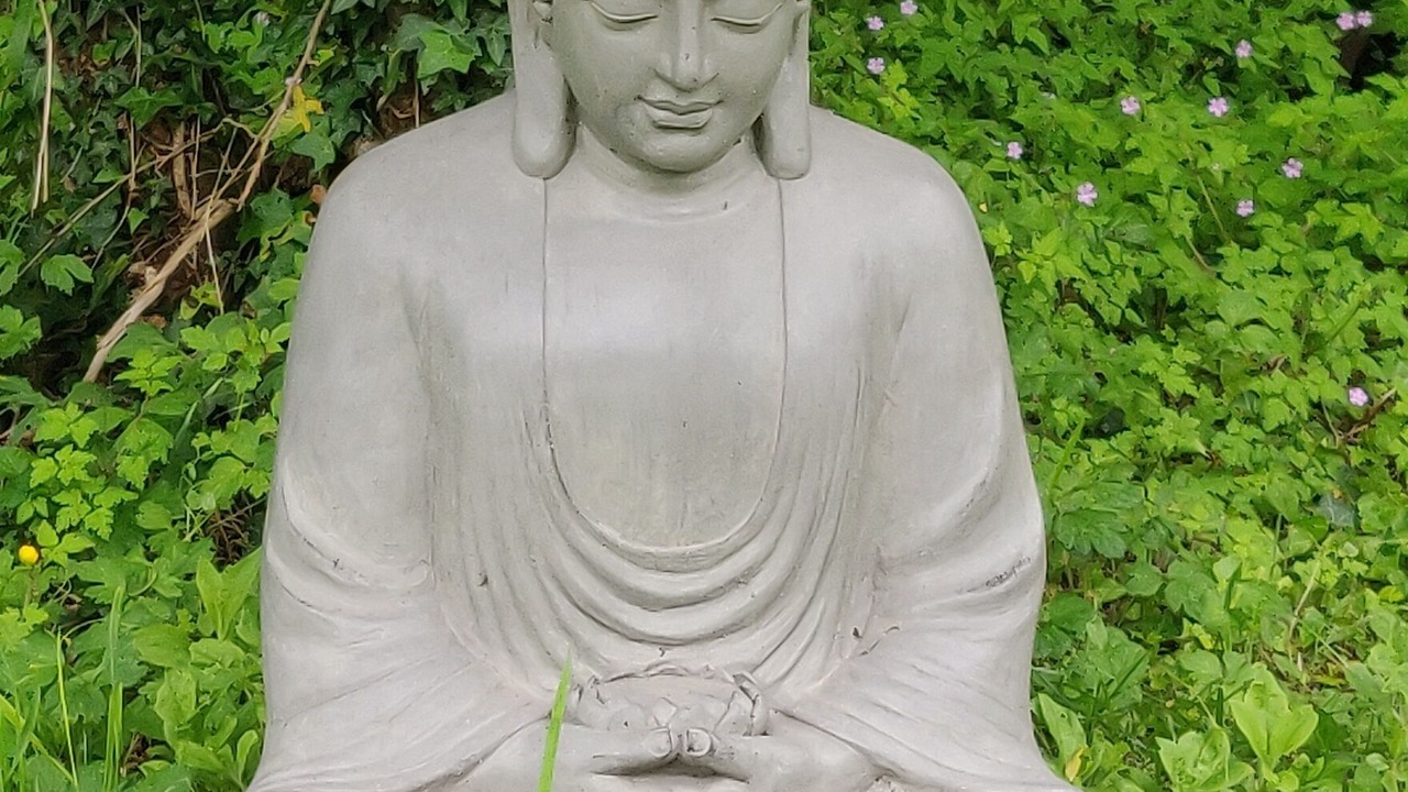 Photo of Outdoor in Lisle