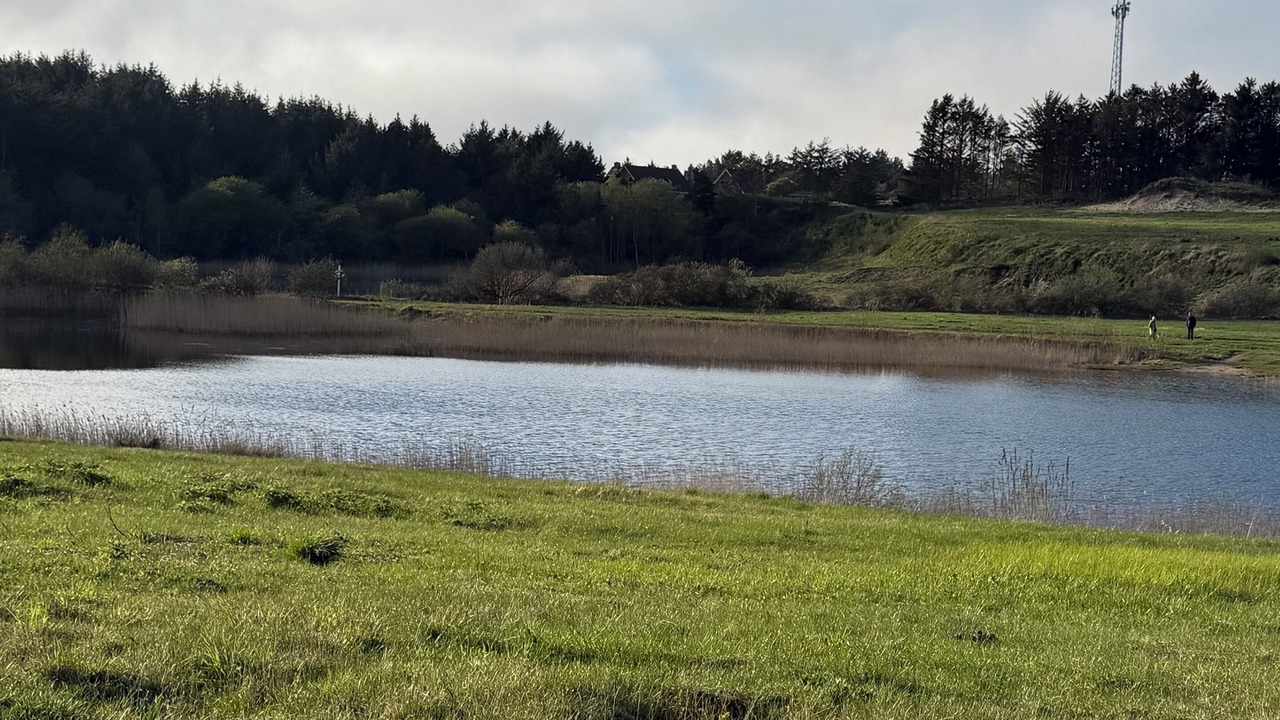 Photo of Outdoor in Blokhus