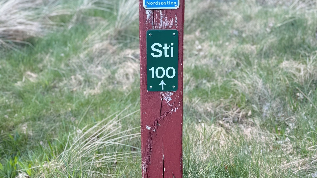 Photo of Outdoor in Blokhus