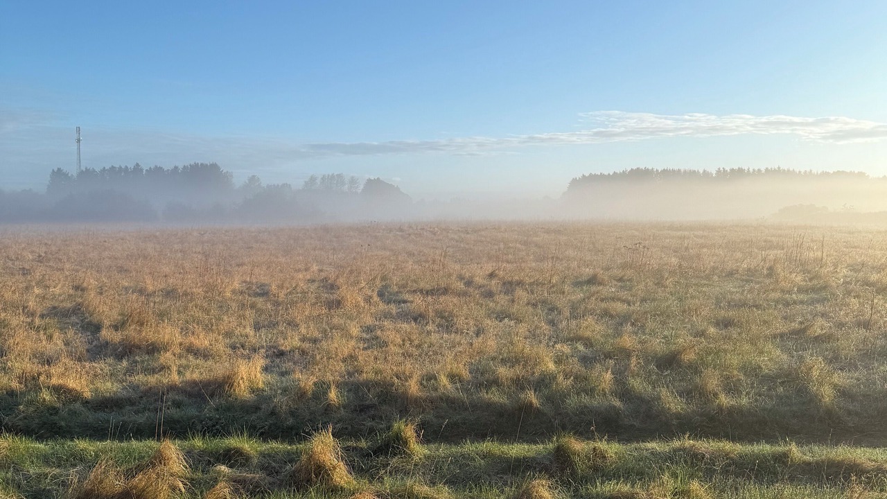 Photo of Outdoor in Blokhus