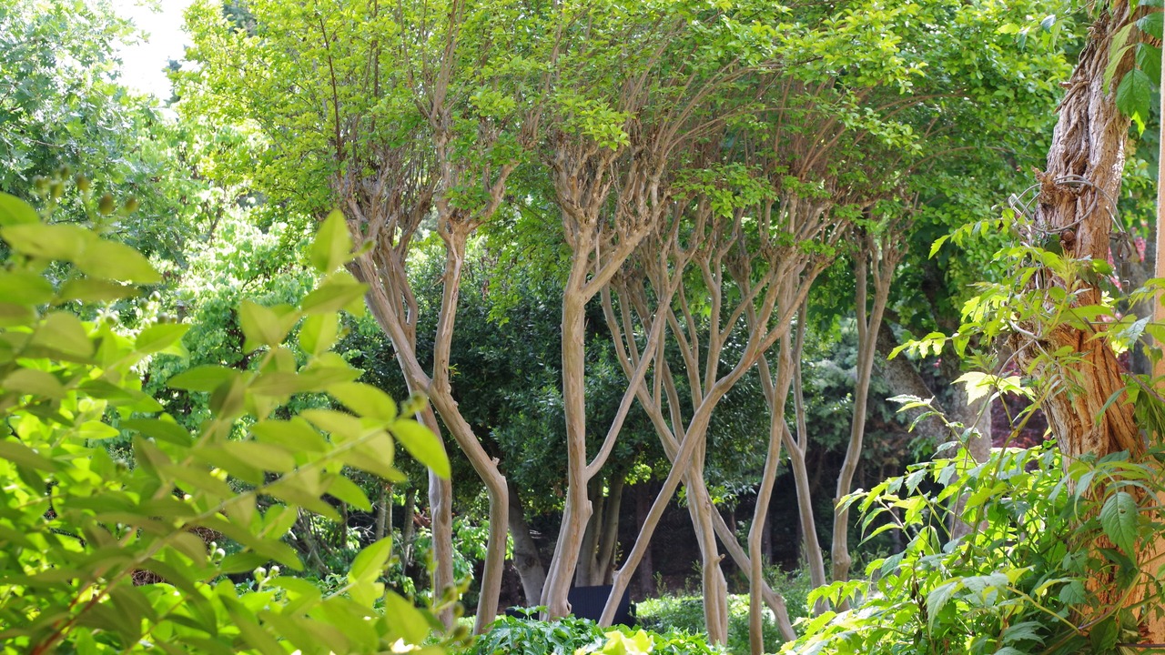 Photo of Outdoor in Valensole