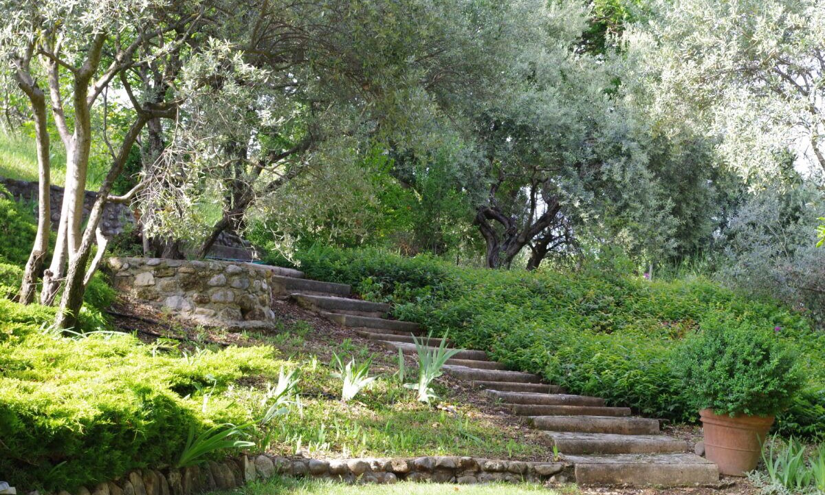 Photo of Outdoor in Valensole