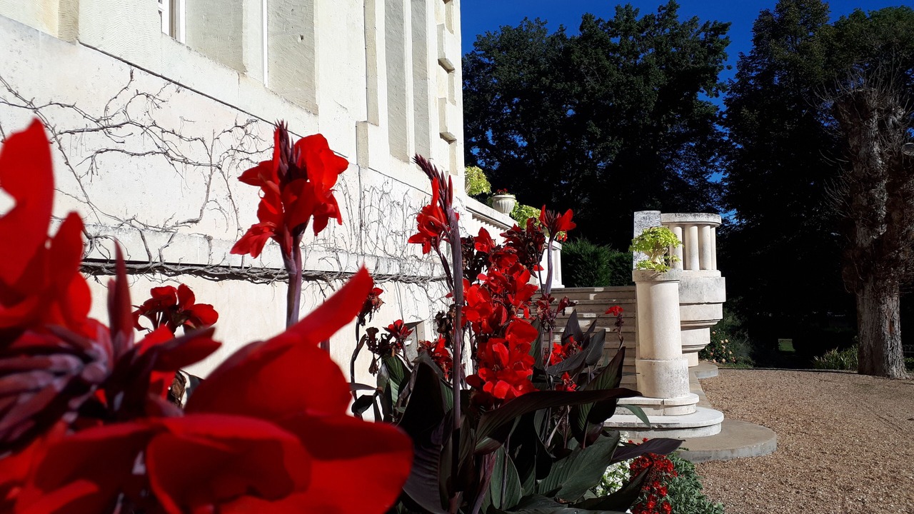 Photo of Outdoor in Lencloitre