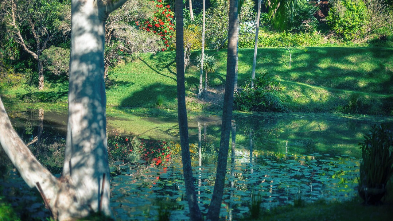 Photo of Outdoor in Sapphire Beach