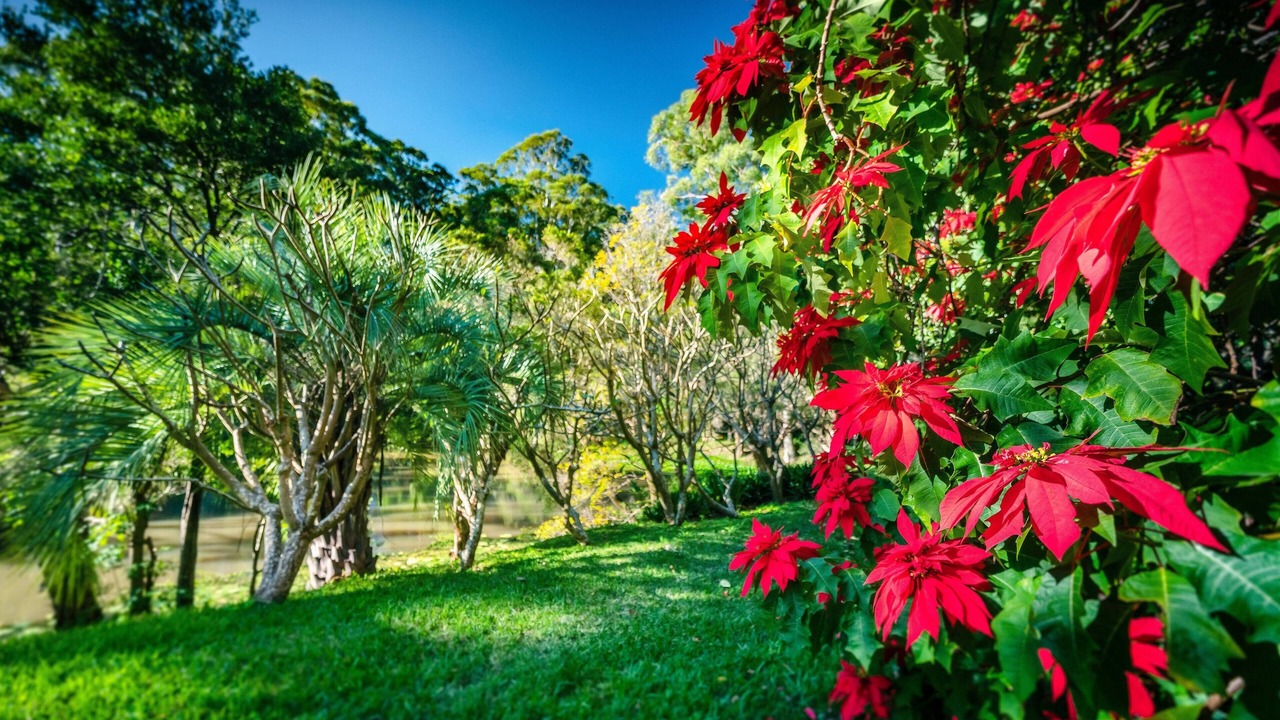 Photo of Outdoor in Sapphire Beach