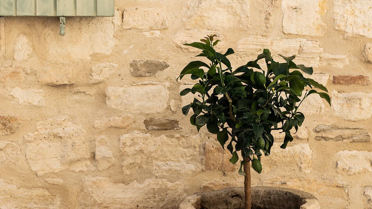 Photo of Outdoor in Brignon