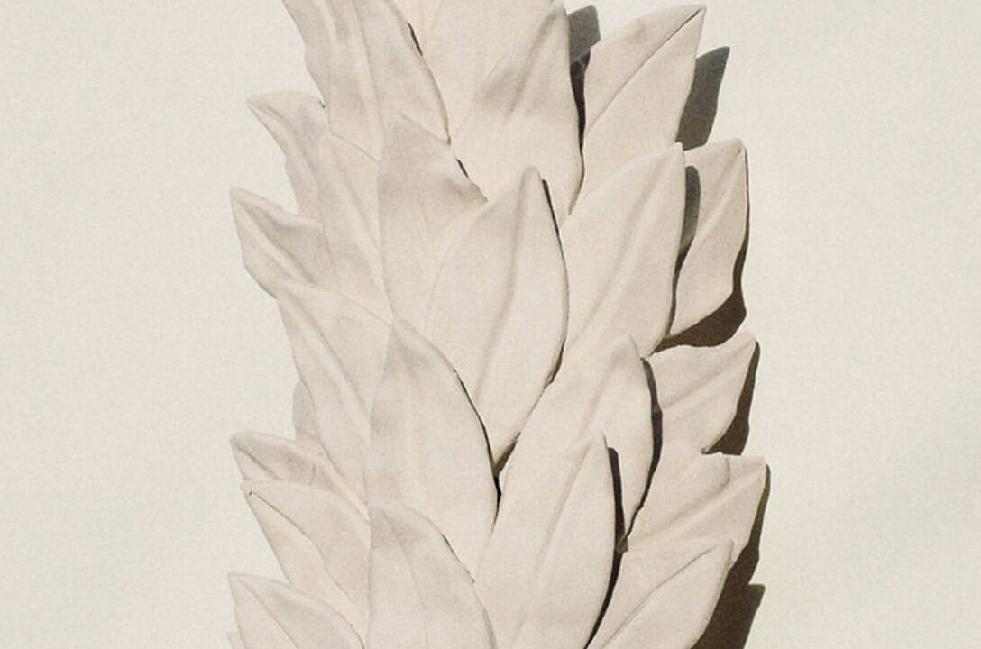 Photo of Others in Annecy Old Town