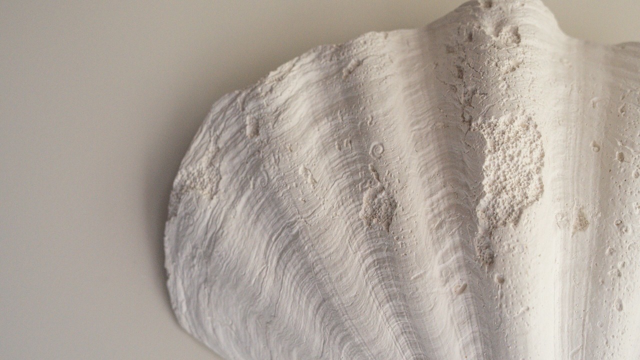 Photo of Bedroom in Annecy Old Town