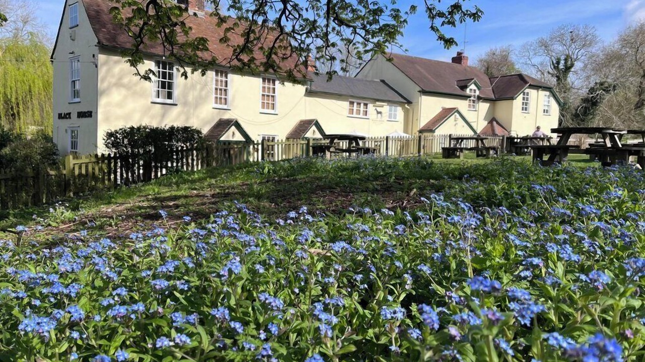 Photo of Outdoor in The Pelhams