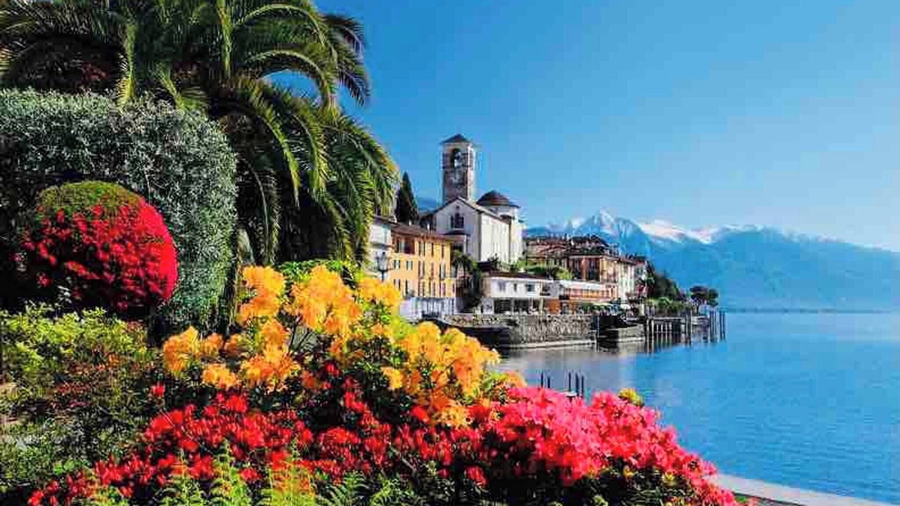 Photo of Others in Brissago