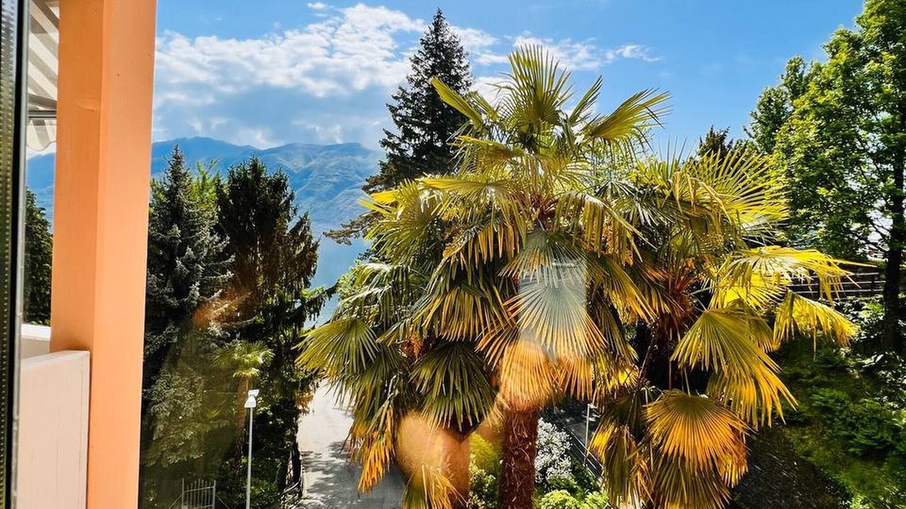Photo of Outdoor in Brissago