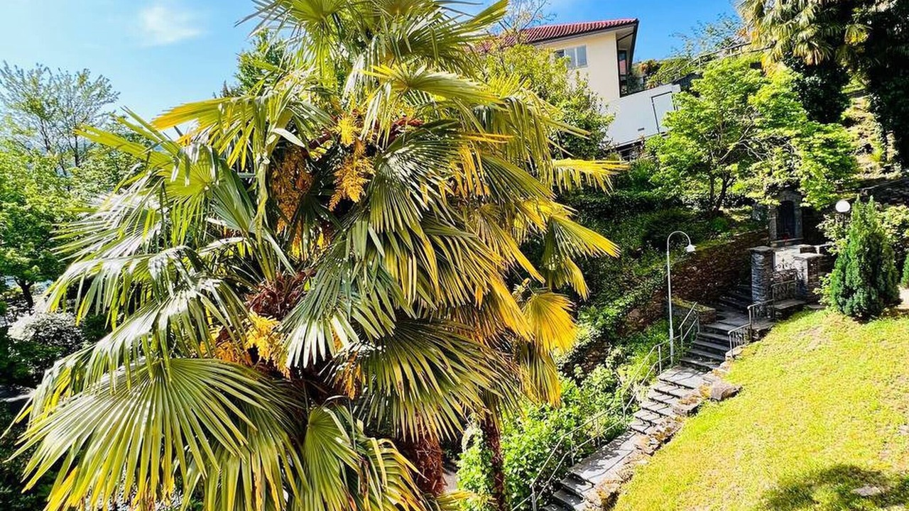 Photo of Outdoor in Brissago