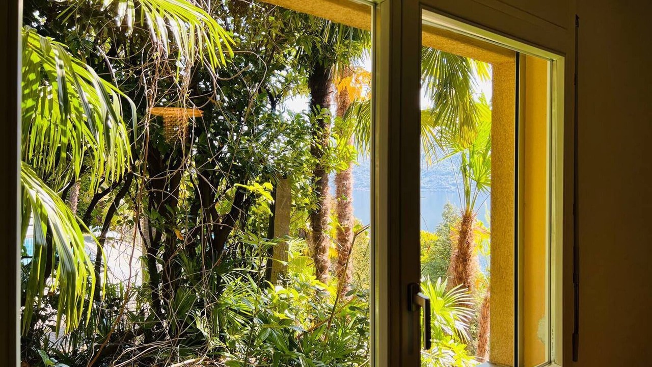 Photo of Others in Brissago