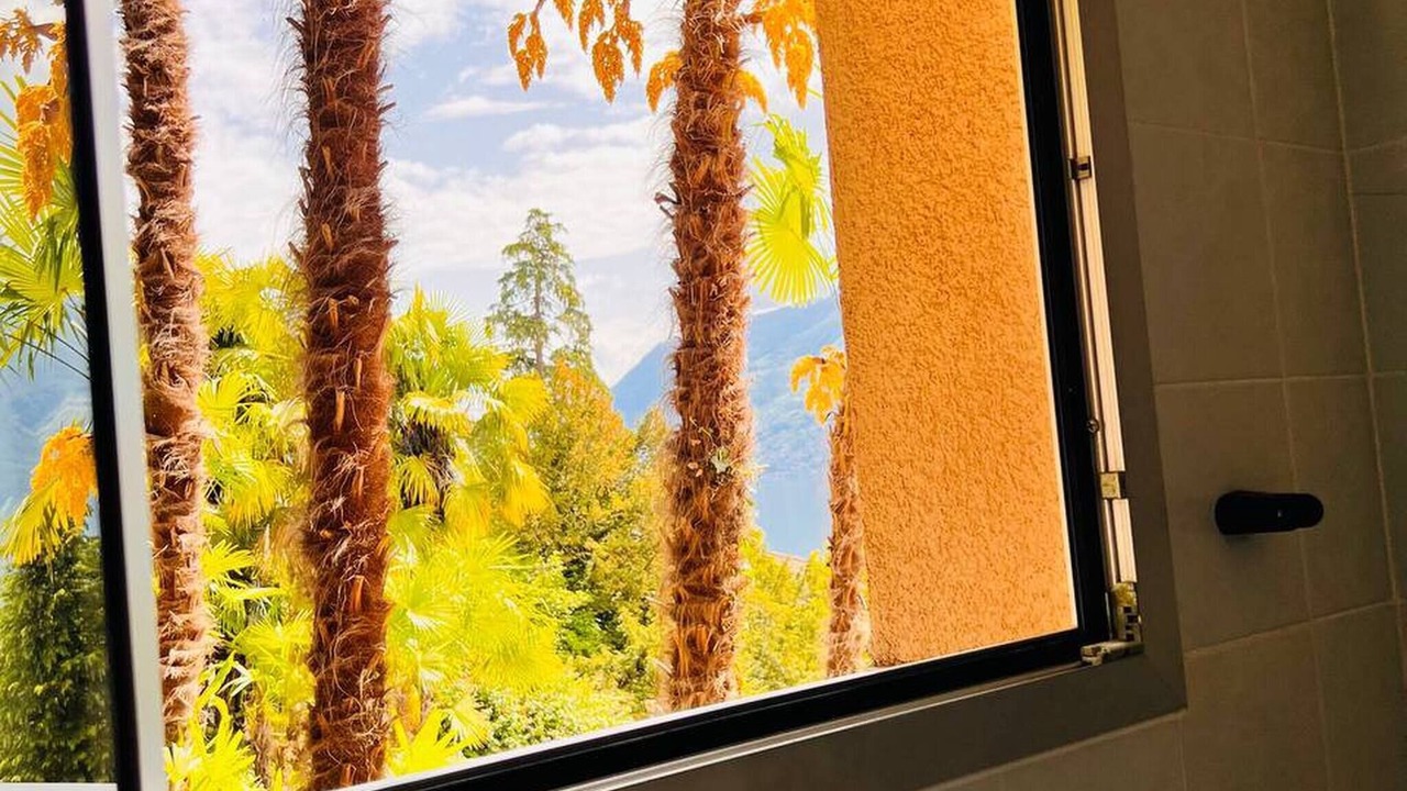 Photo of Others in Brissago